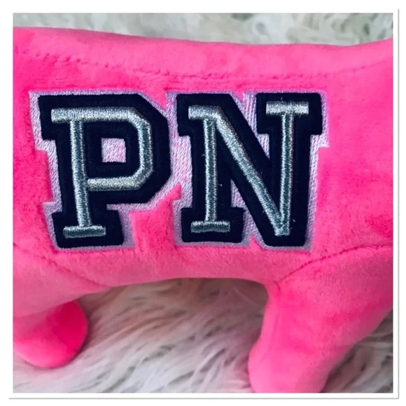 Victoria’s Secret PINK Plush Large Dog Hot Pink Embroidered Details - Picture 5 of 10